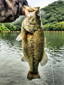 釣査報告！