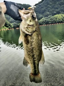 釣査報告！