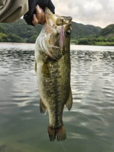 釣査報告！