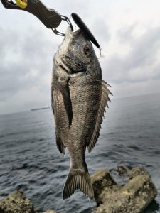 釣査報告！