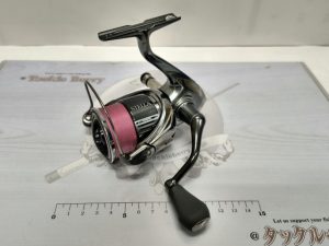 入荷情報！