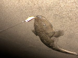 サーフ行ってます🎣