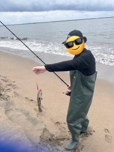 コチいるの？いないの？