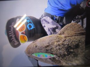 “秋マゴチ”釣れてます🐟