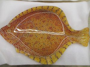 タコと鮃のイカ🦑したお皿✨