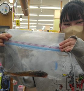 ★美味しいお魚入荷中～★