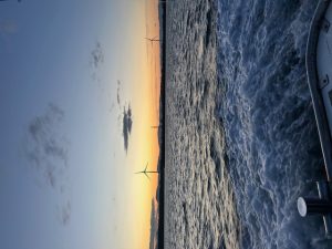 11/5 寒鰤ジギング in 酒田