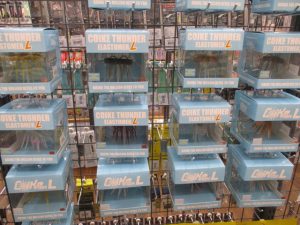 HIDE UP ~コイケシリーズ~