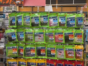 続、ロックワーム入荷