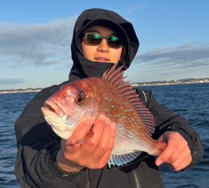 ★キレイな真鯛★