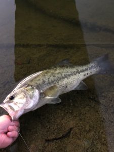 高滝バス釣行