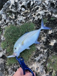 沖縄で釣りしてきました！