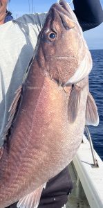 どでかい『アレ』が釣れた様子!!