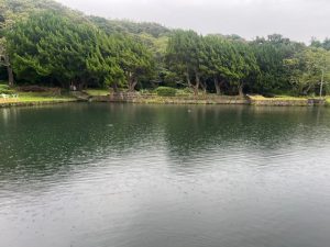 ～雨・風・上浜～