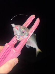 ☆S様・アジング好調☆