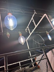 ☆終盤のティップラーーーン☆