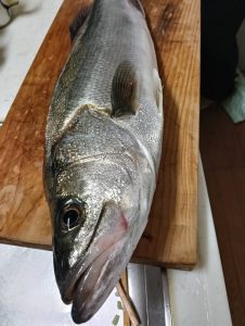 ☆S様酒田港シーバス☆