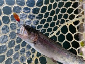 ～勉強の上浜～