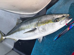 4度目の正直なるか。