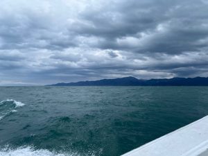 ～えっ！？鰤！？～