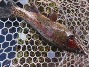 ☆久しぶりの上浜☆