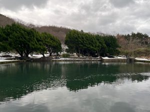 ～ＡＢＥ♀と上浜～