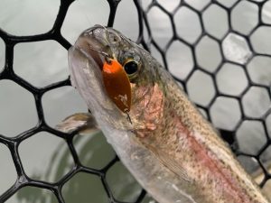 *私も！上浜へ・・*