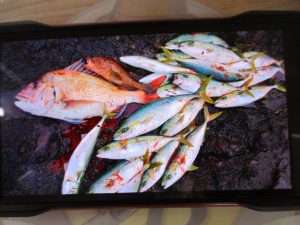 ～鶴岡磯・爆！！～