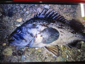 ☆Ｓ様ソイ活☆