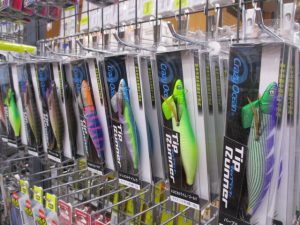 ～イカちゃん用と青物に～