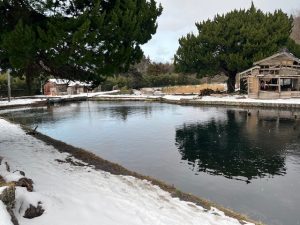 ～上浜・大物居ますよ～