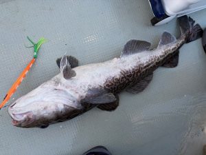 ☆リベンジ大船渡☆