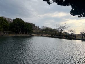 ～ちょっとだけよぉ～