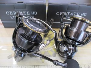 ☆NEWセルテート☆