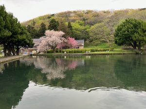 ～虹色は世界を制す～