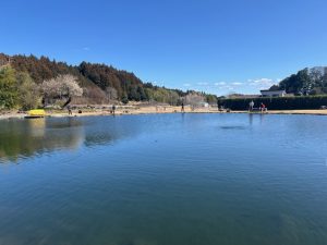 ～菊地養魚場でマジックジャーク～