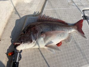 惜敗の日本海　part.3