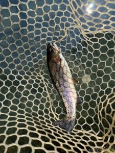 ～Ｓ様・上浜爆～