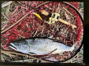 ～サクラ咲く～