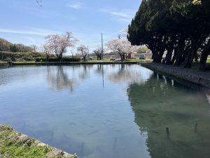 ～S様・さくら上浜～
