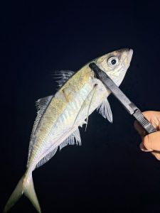 ☆スタッフいと～の釣り三昧1/3☆
