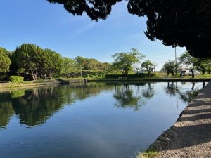 ～楽しいが釣れてい鱒～