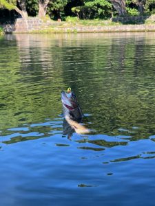 ～精度を上げに～