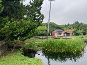 ～大会後は狙い目～