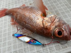☆タングステンがお好き？？☆