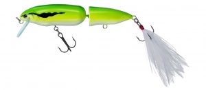 ダイワ新製品入荷しました🥗🥗