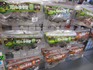 踊る接骨院2.5入荷！