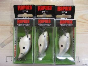 ラパラのダイブトゥDT-4入りました！