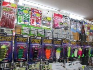 ナマズ釣りに行きませんか？