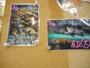 広島舟入町店　釣果情報！